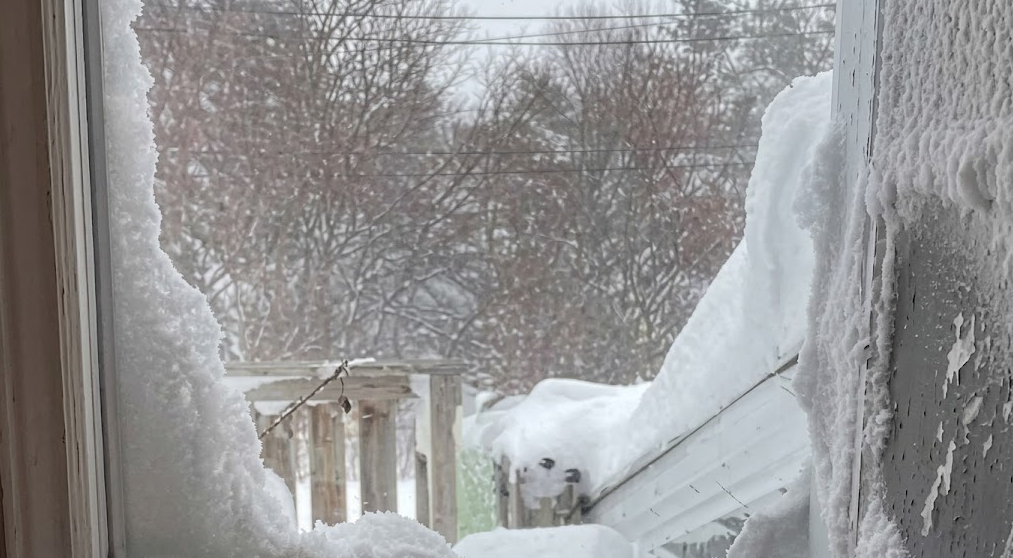 Vídeo: Neve toma conta de residência de brasileira no Canadá e impressiona pela altura