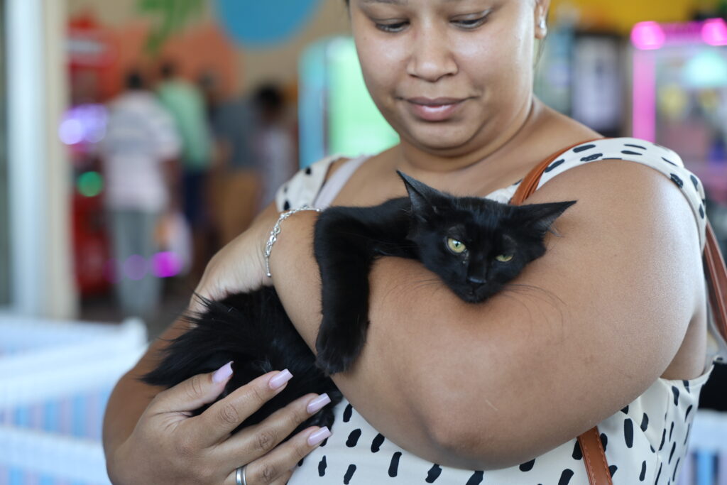 Projeto de Aparecida de Goiânia completa um ano e encontra novos lares para 250 animais