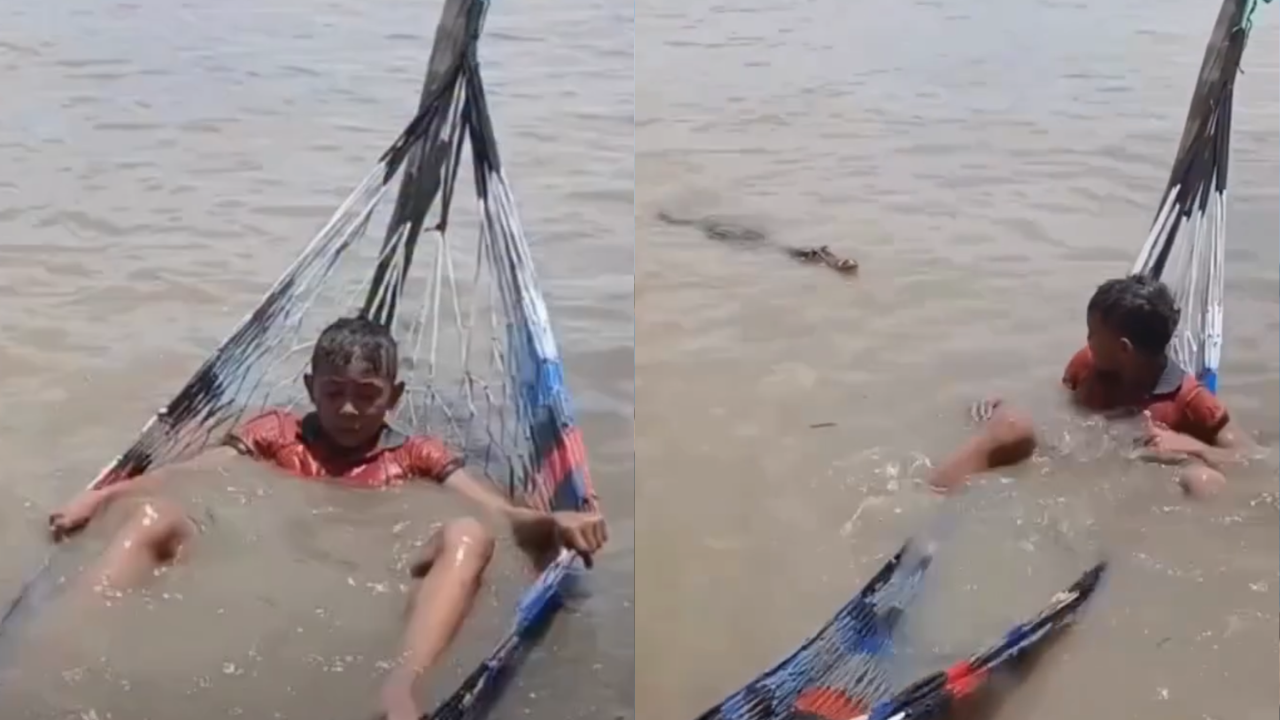 Vídeo: Menino toma banho de rede em rio e jacaré passa ao seu lado