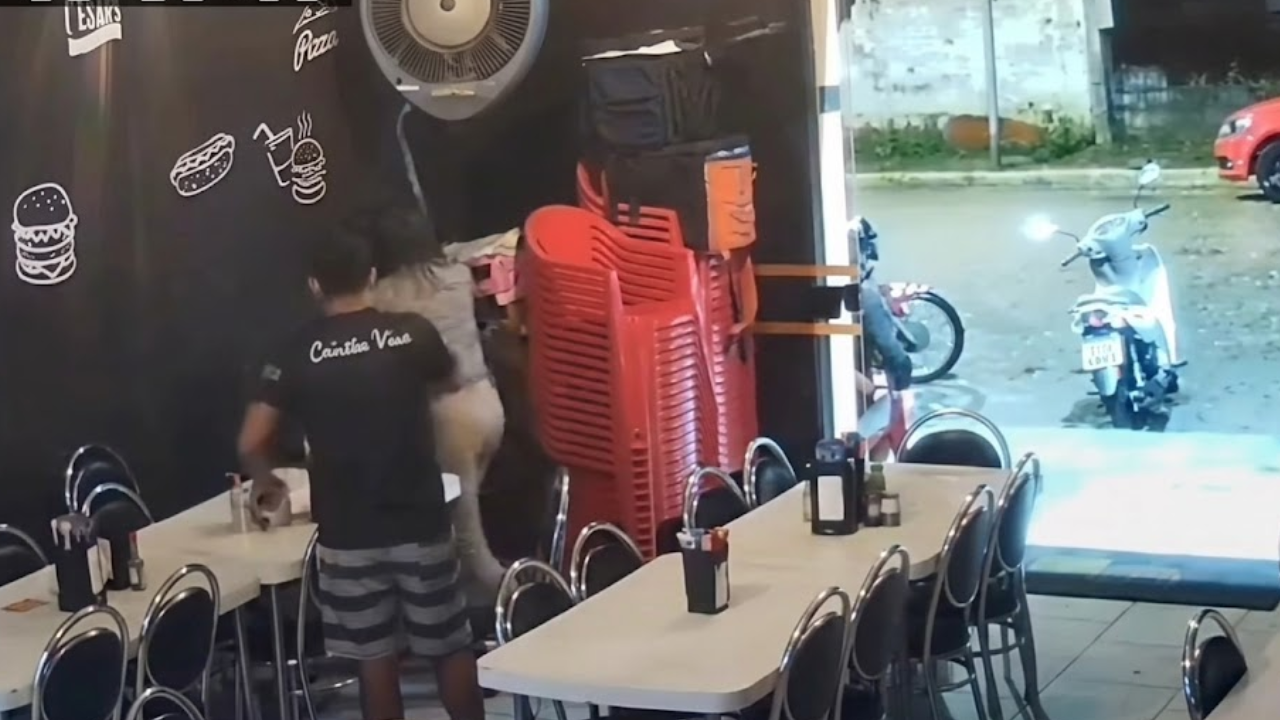 Vídeo: Homem é preso após tentativa de homicídio contra motorista de ambulância em SP