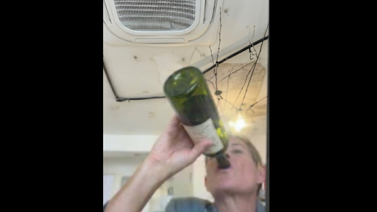 Vídeo: Juiz do TJMG é flagrado ao beber vinho e fumar durante sessão remota de julgamento