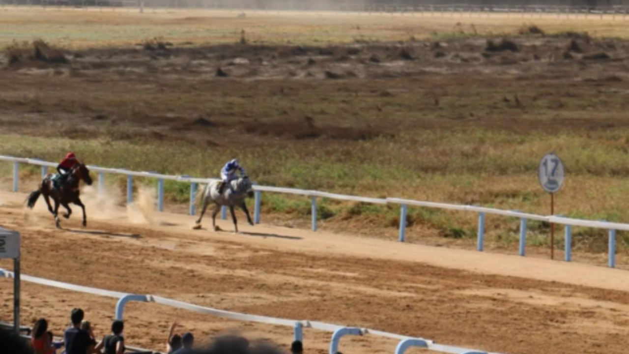 Jóquei Clube recupera autorização federal e abre caminho para retomada das corridas de cavalos