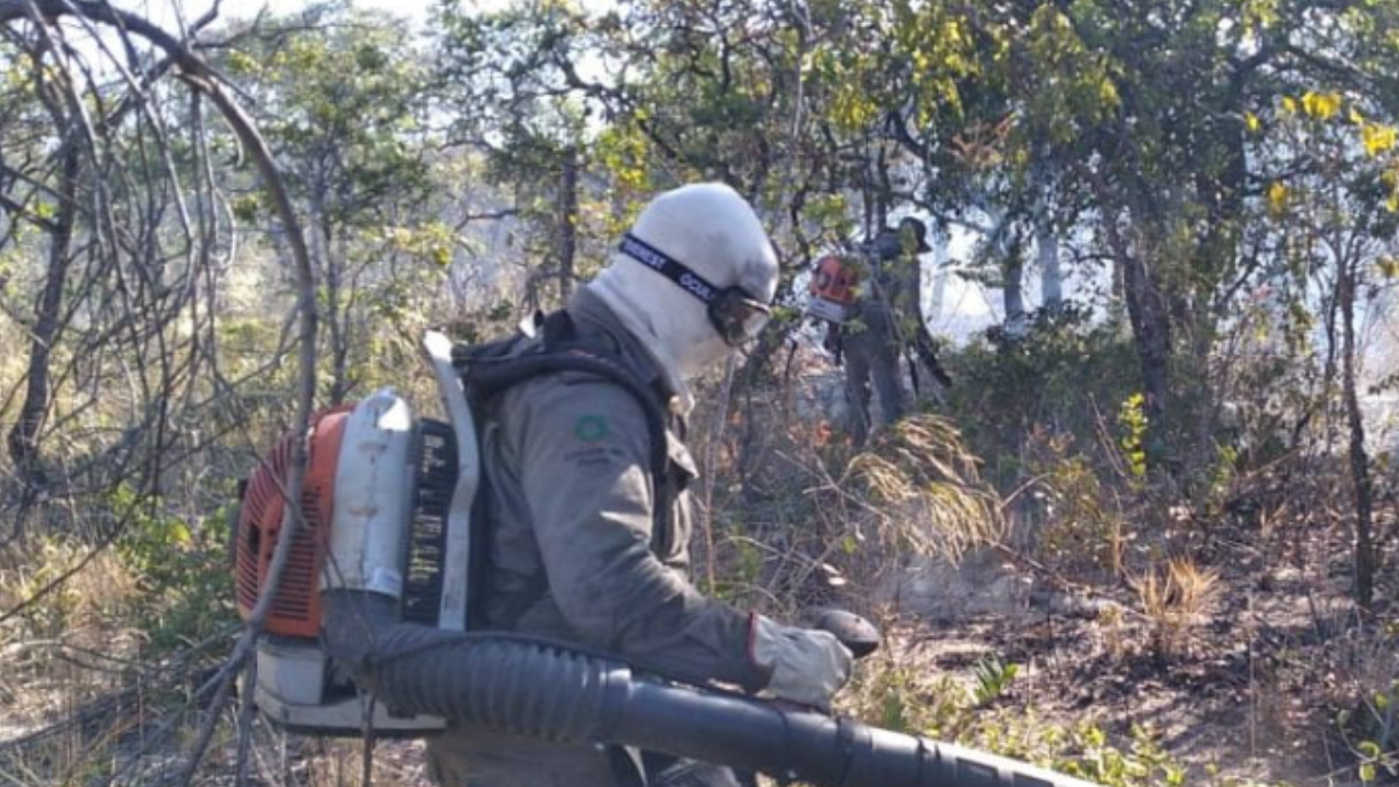 UFG amplia monitoramento ambiental e cria previsão de qualidade do ar em Goiás