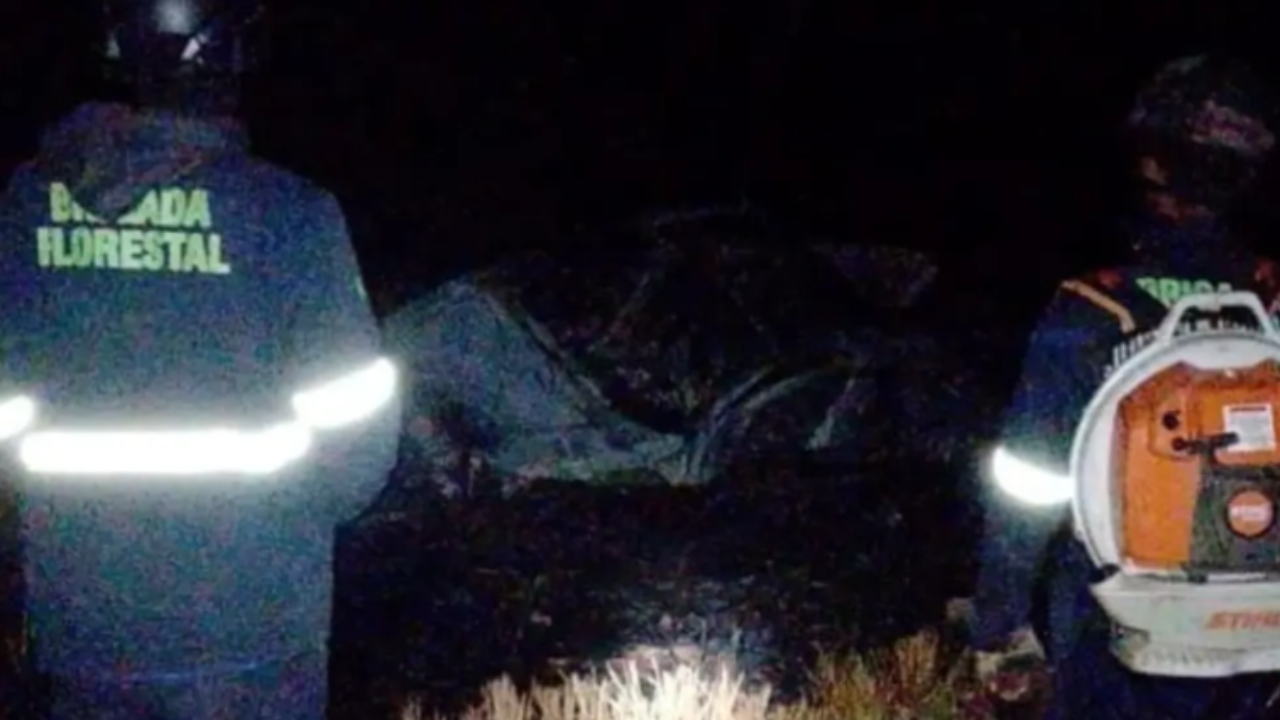 Carro capota na GO-174, pega fogo e motorista escapa antes de incêndio