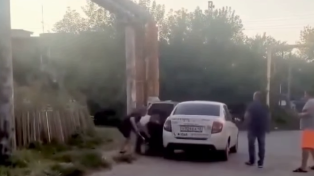 Vídeo: Cachorro intervém em briga e derruba agressor após ataque com barra de ferro
