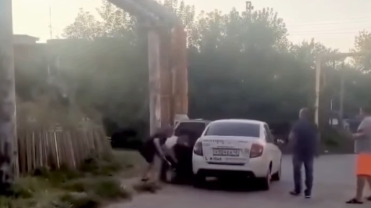 Vídeo: Cachorro intervém em briga e derruba agressor após ataque com barra de ferro