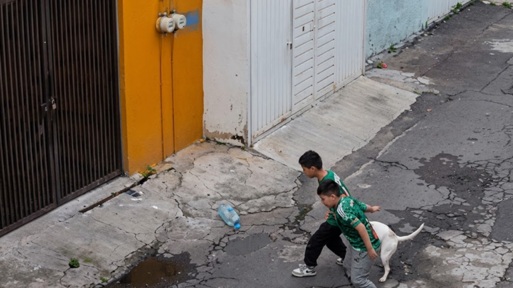 Vídeo: Criança sofre ataque de cachorro no meio da rua e pedestres tentam ajudar