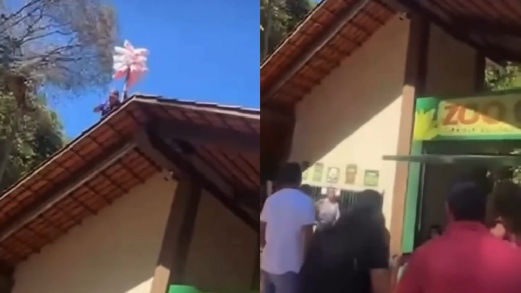 Vídeo: Vendedor de algodão-doce faz protesto no telhado da entrada do Zoológico de Goiânia