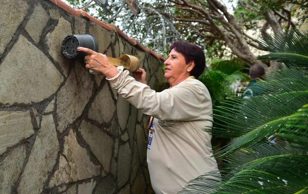 Casos de chikungunya em Goiânia crescem mais de 600% e Prefeitura intensifica combate ao Aedes aegypti