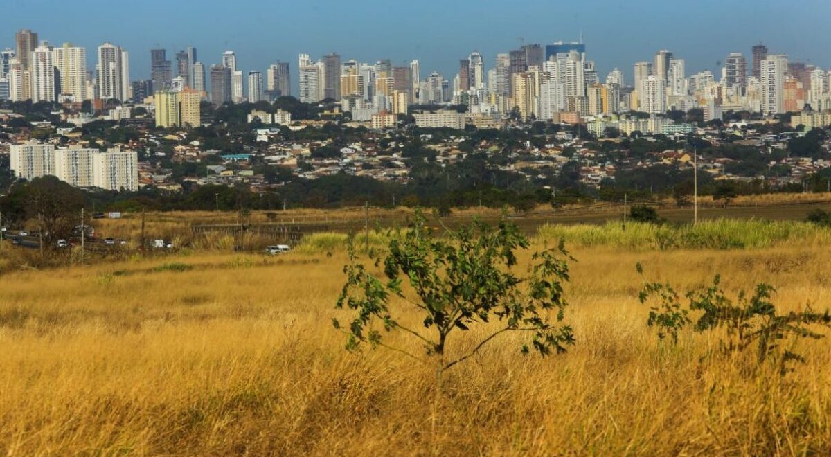 El Niño deve agravar seca e aumentar risco de queimadas na região Centro-Oeste