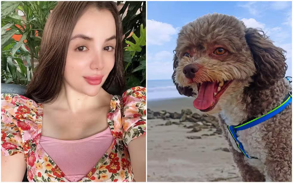 Advogada morre ao proteger cachorro durante terremoto na Colômbia; animal sobreviveu