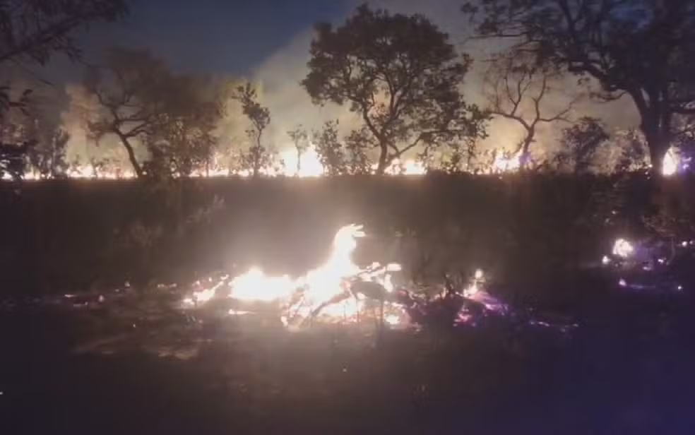 Incêndio no Parque Estadual de Terra Ronca, no Nordeste goiano, consome 10,4 mil hectares