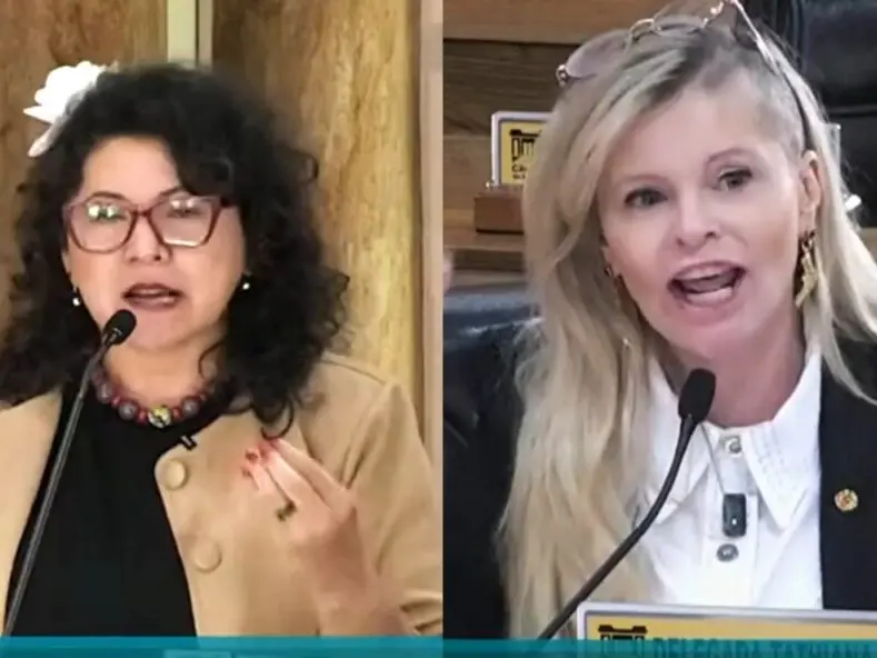 Vereadora de Curitiba sofre representação no MPF após perguntar a colega nordestina 'por que não volta para o Ceará?'