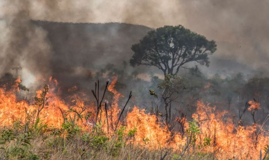 Autores de incêndios criminosos em Goiás podem enfrentar prisão, multas e reparação ambiental