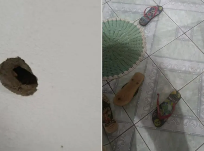 Jovem é executado dentro de casa diante da esposa e do filho em Anápolis