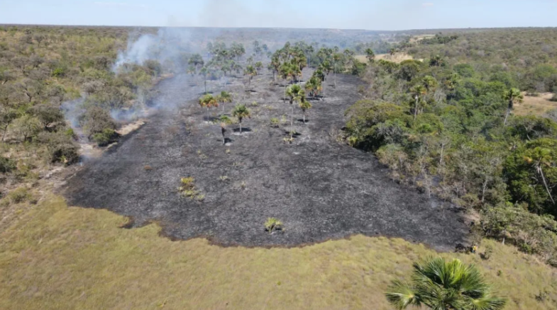 Semad amplia combate a incêndios e já supera R$ 20 milhões em multas em Goiás