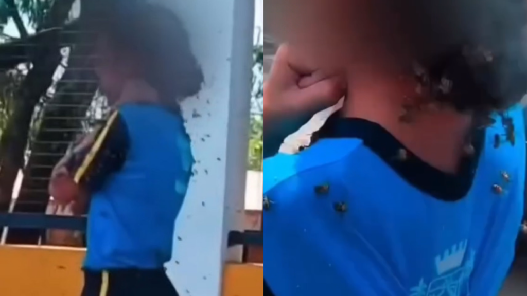 Vídeo: Motoboy leva 40 picadas de abelha ao salvar criança em ataque perto de escola