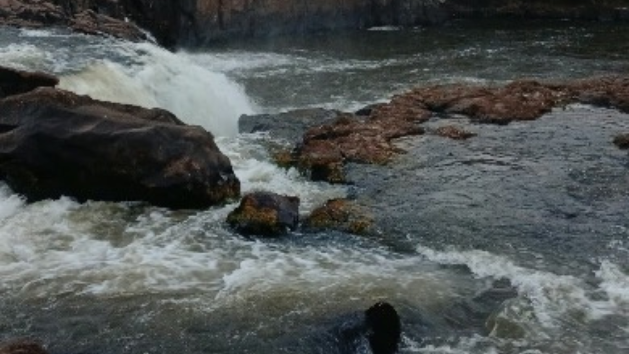Jovem de 19 anos morre afogado no Rio Claro após escorregar em pedras em Jataí