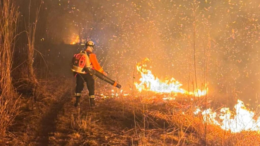 Incêndio volta a avançar na Chapada dos Veadeiros e interdita trilhas