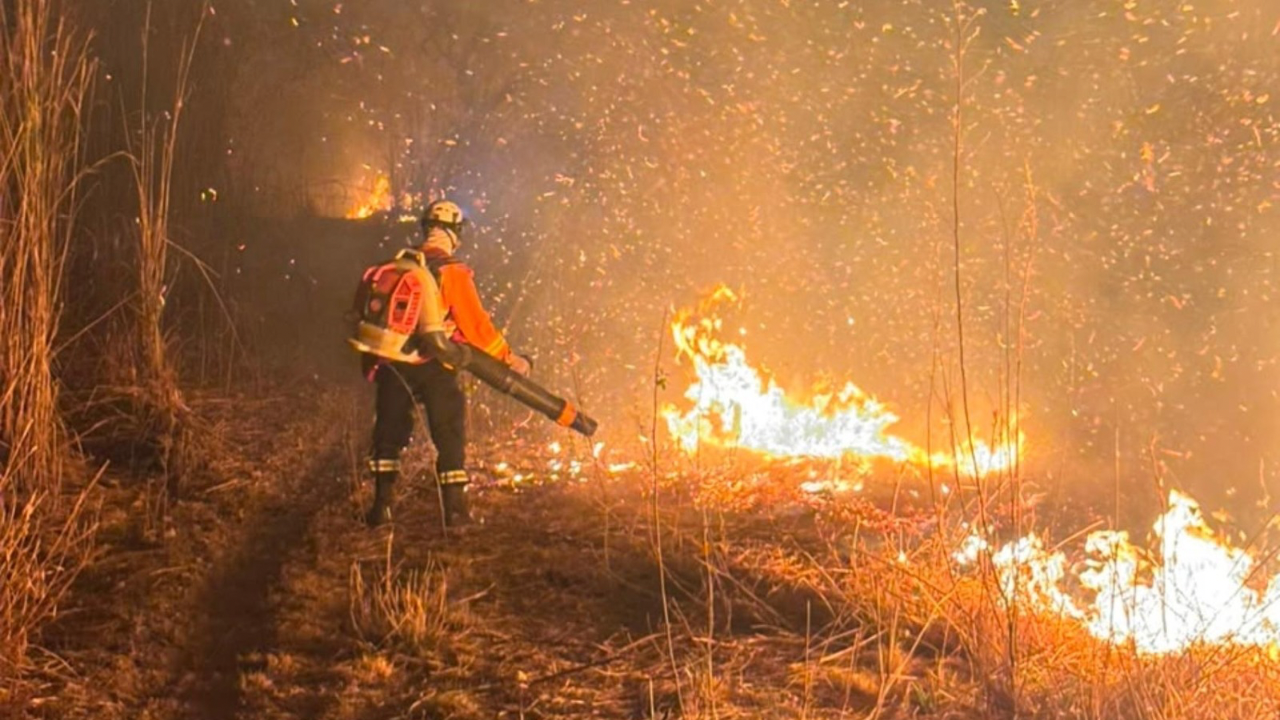 Incêndio volta a avançar na Chapada dos Veadeiros e interdita trilhas
