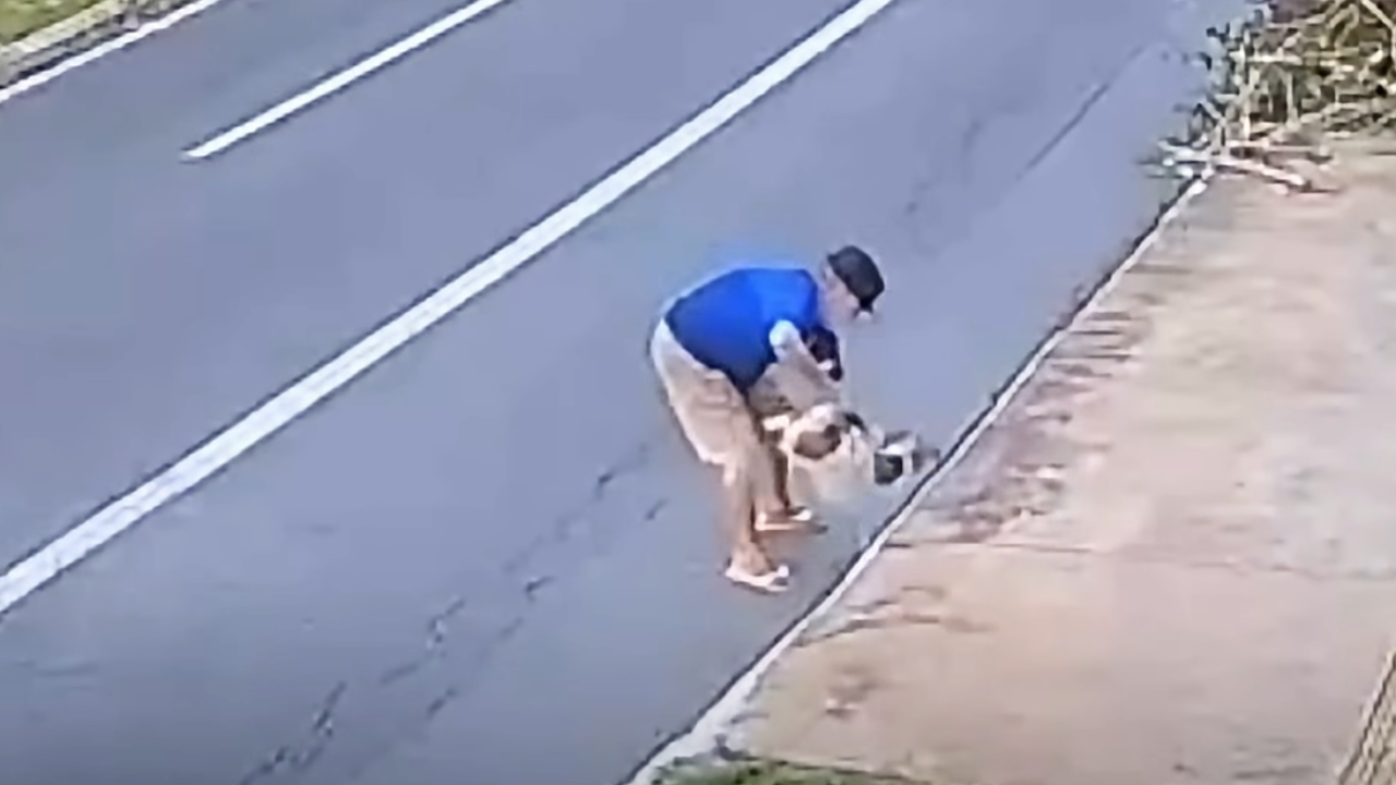 Homem é detido após jogar cachorro em bueiro no Jardim América em Goiânia