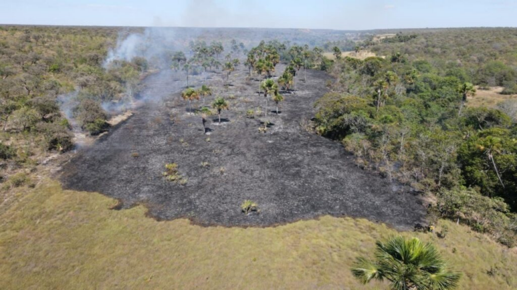 Queimadas em Goiás caem 27% em 2026 e área destruída é a menor desde 2019
