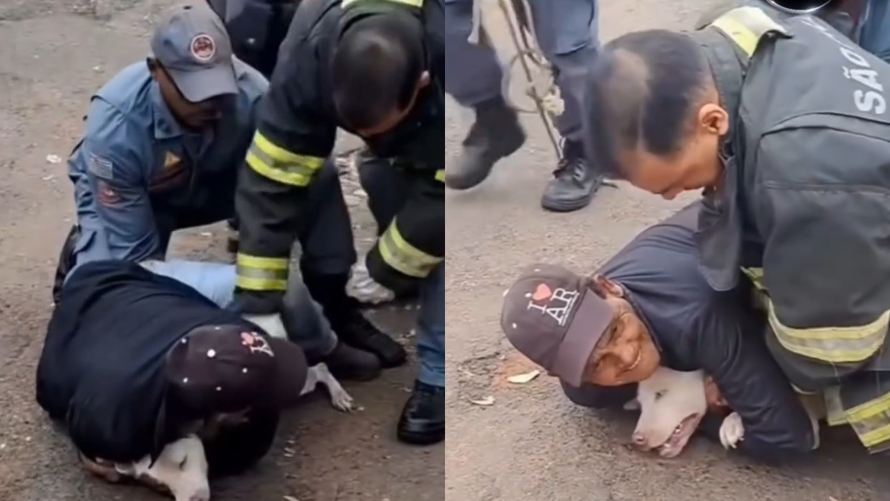 Idoso imobiliza pitbull após ataque e espera chegada dos bombeiros em vídeo viral