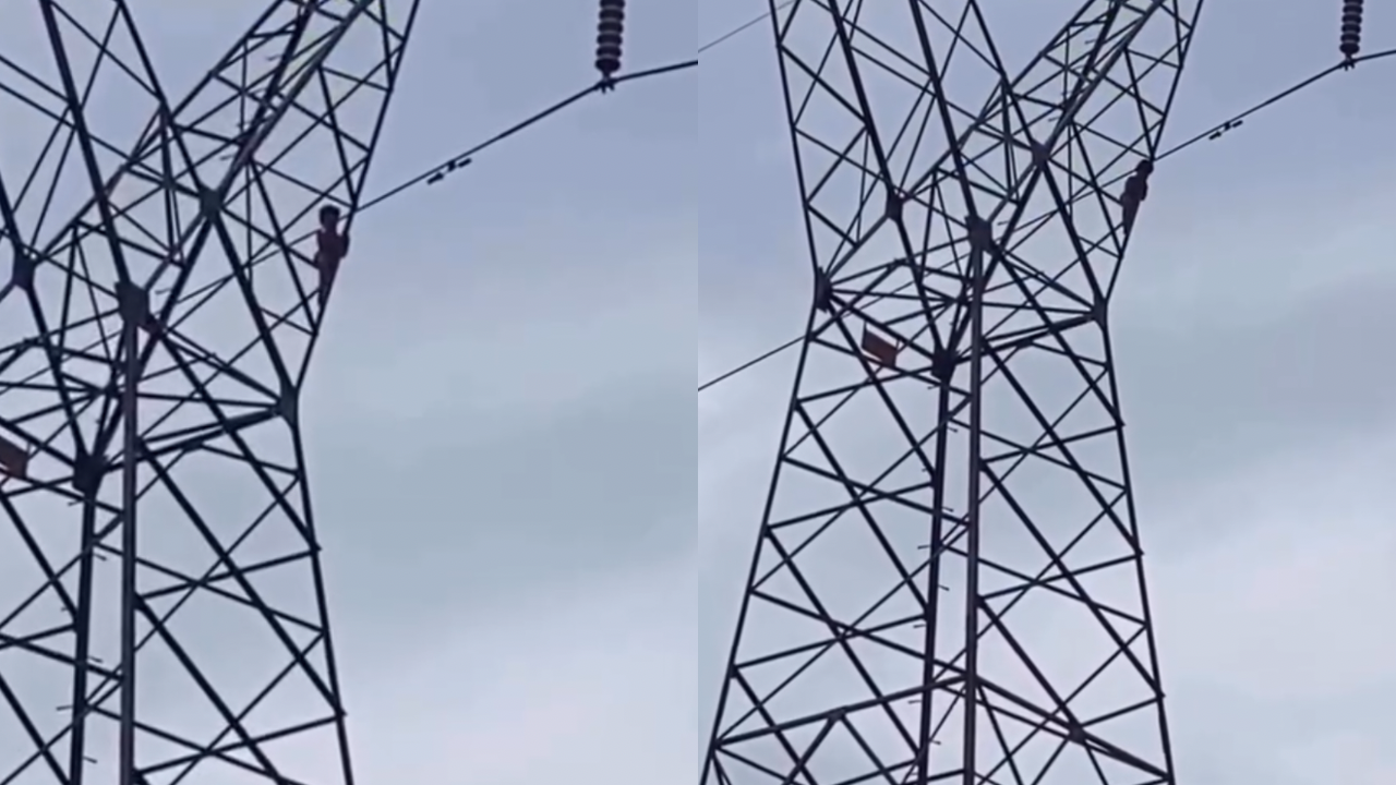 Vídeo: Menino de 5 anos escala torre de transmissão e é resgatado pelos bombeiros