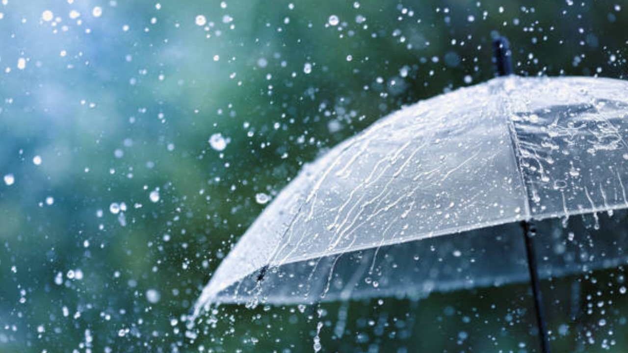 Chuva rompe sequência de calor intenso e muda paisagem em Goiás