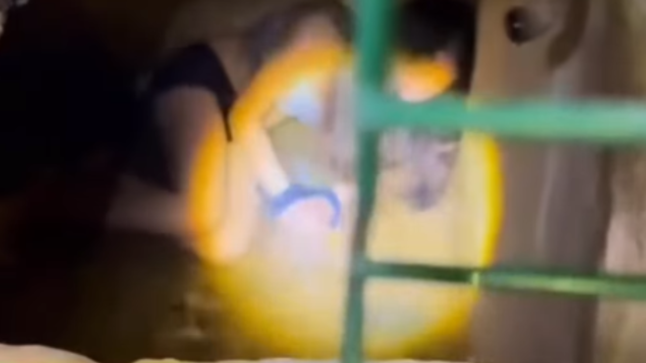 Vídeo: Adolescente relata ter bebido água misturada à própria urina após ser encontrada amarrada em poço