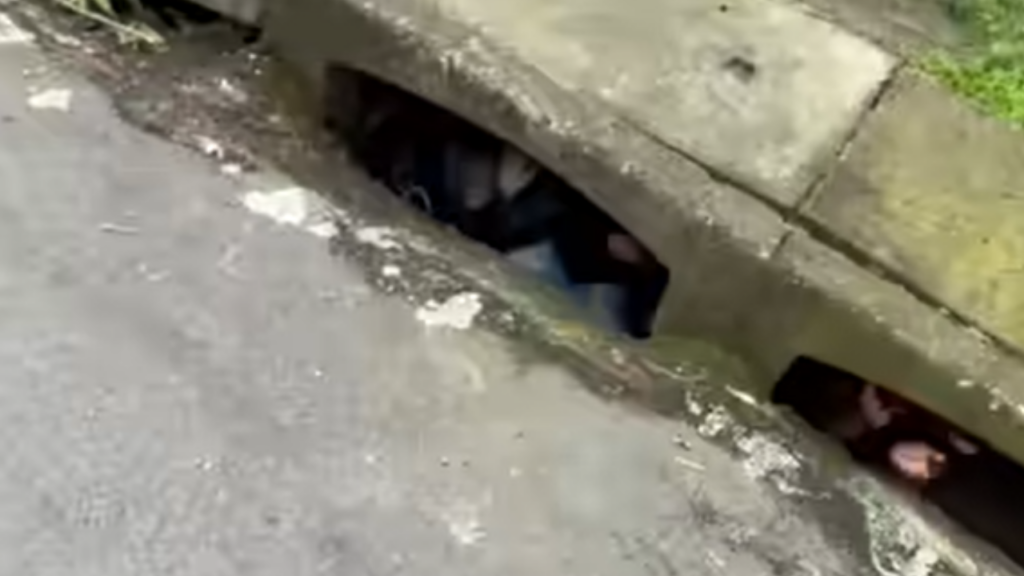 Marquinhos Motoca flagra crianças dentro de bueiro e brinca sobre “farmar aura”; assista ao vídeo