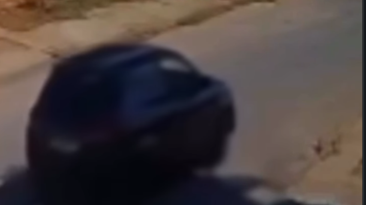 Vídeo: Motorista é preso após suspeita de atropelar cachorro várias vezes em Aparecida de Goiânia