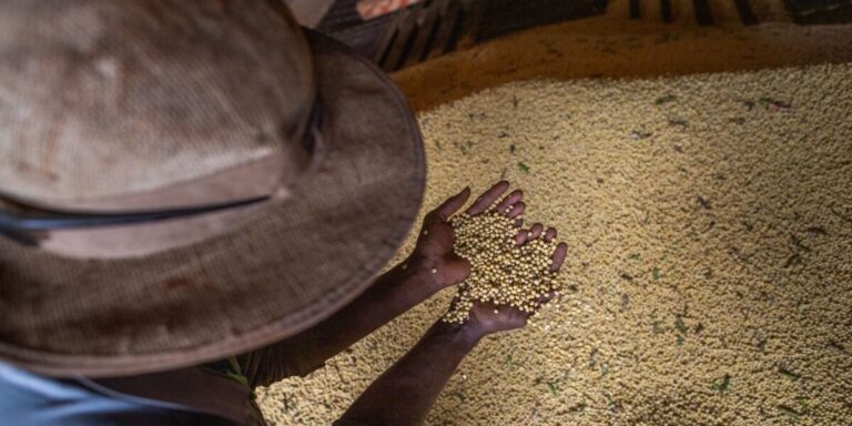 Goiás registra superávit de US$ 5,6 bilhões na balança comercial entre janeiro e agosto de 2026