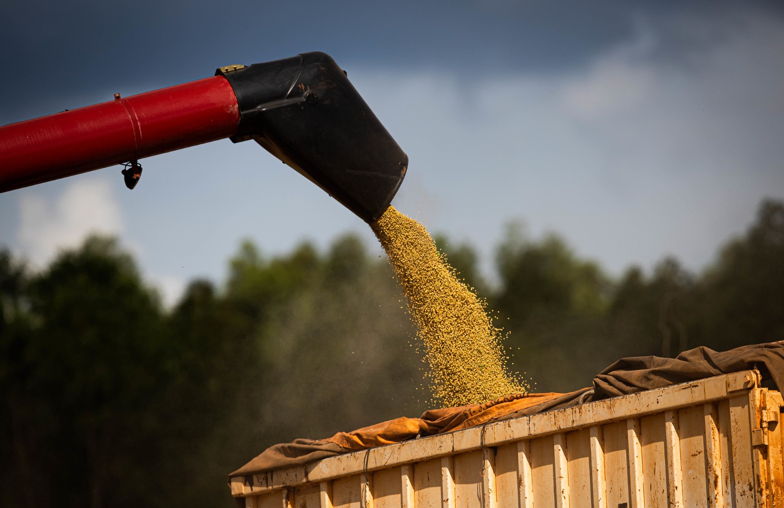 Goiás lidera três culturas agrícolas no país e produz 20,3 milhões de toneladas de soja