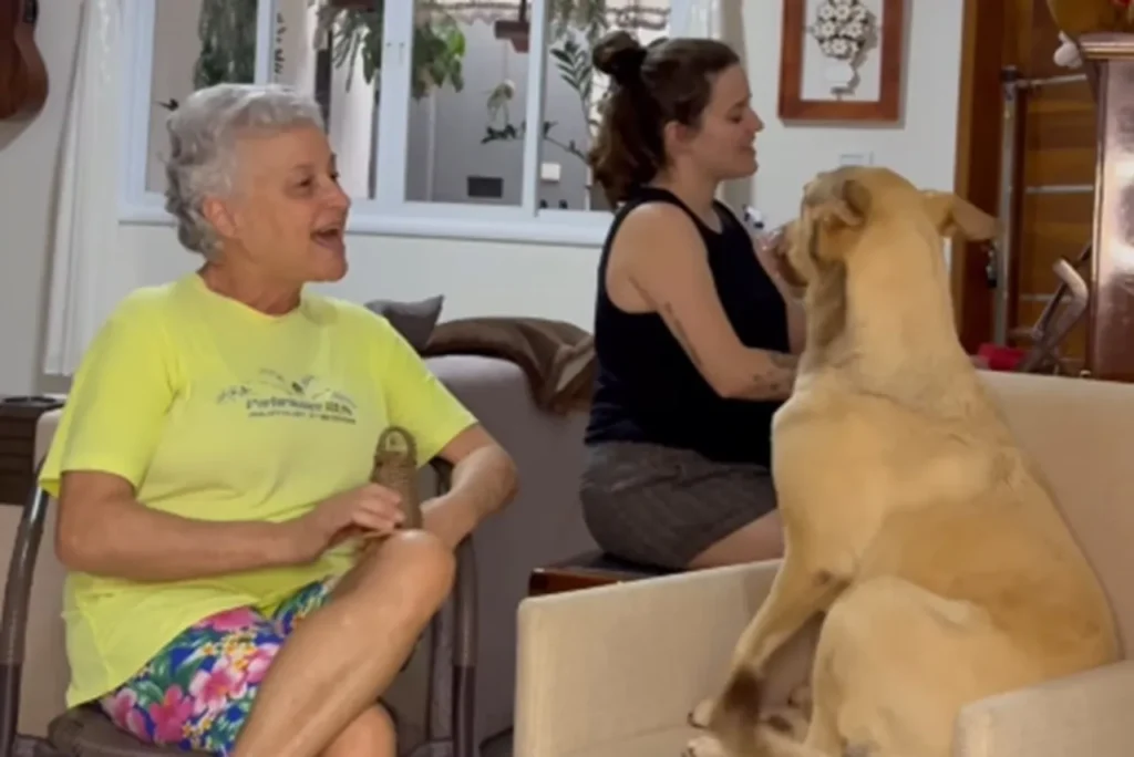 Cachorra Peggy viraliza ao entrar no coral da família e responder “au au” durante música