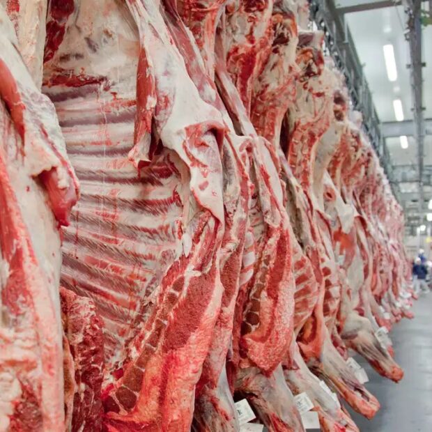 UE prevê carne bovina brasileira fora do bloco por 2 anos