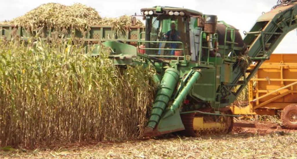 Acordo com Marrocos garante 3,8 milhões de toneladas de fertilizantes ao Brasil