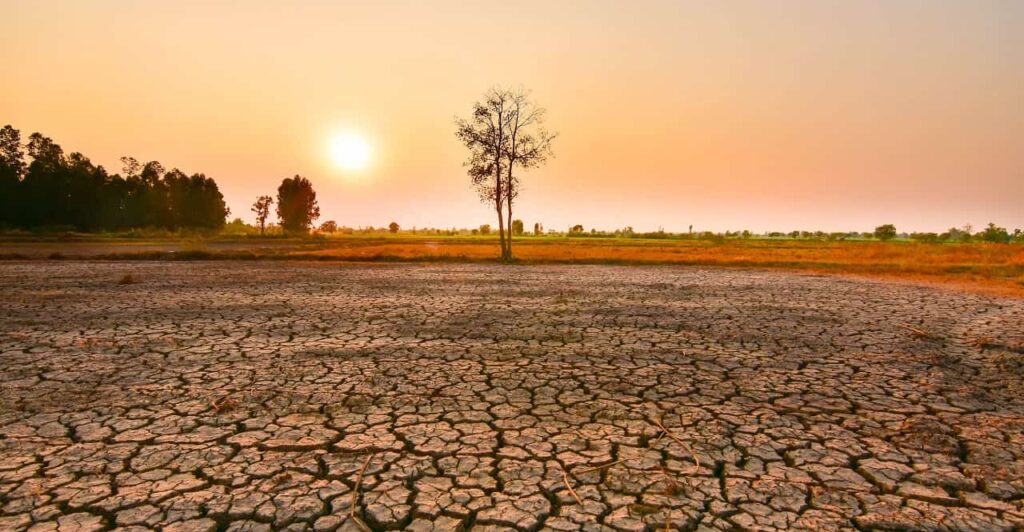 El Niño deve ganhar força nos próximos meses e persistir até fevereiro de 2027, diz OMM