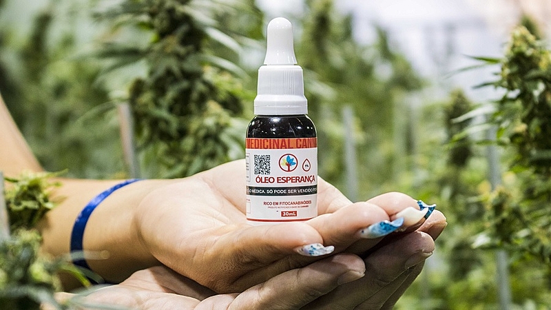 Latam e American Airlines barram medicamentos de Cannabis em voos para o Brasil
