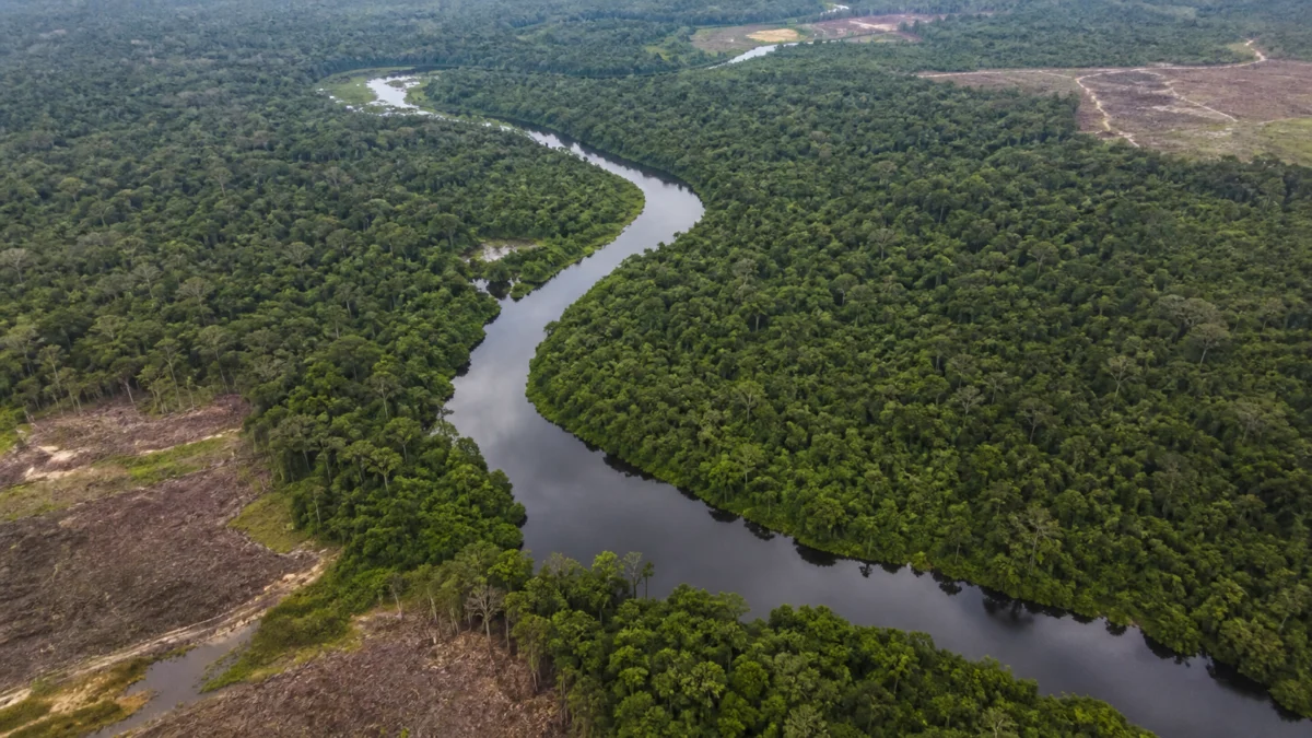 Reino Unido anuncia R$ 2,7 bilhões para fundo de proteção de florestas criado pelo Brasil