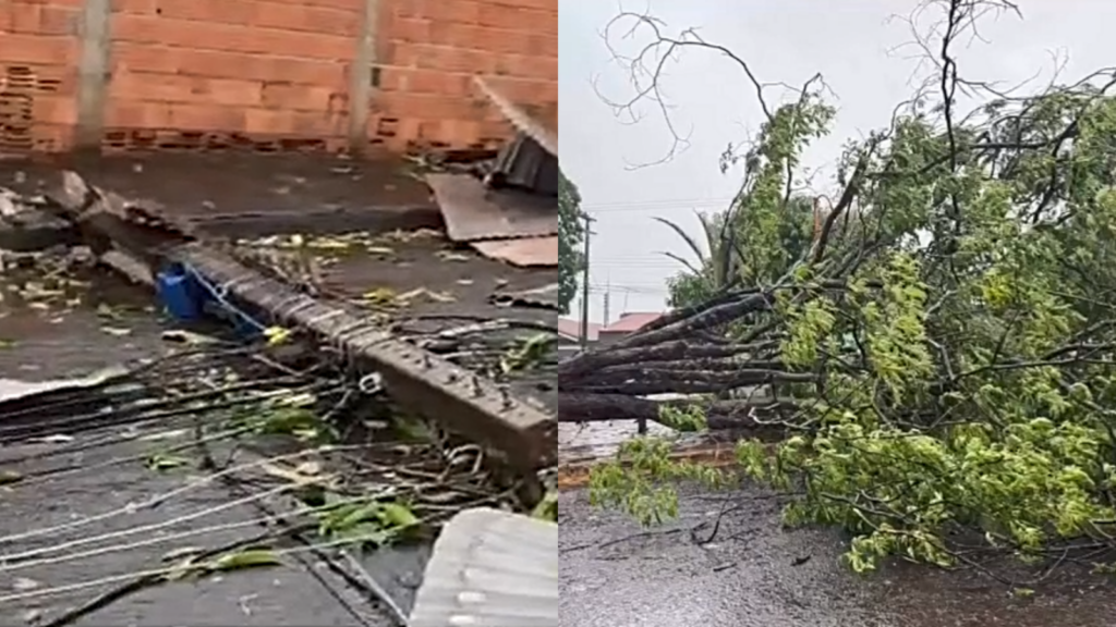 Vídeo: Temporal derruba postes e árvores e causa estragos em vários pontos de Itumbiara