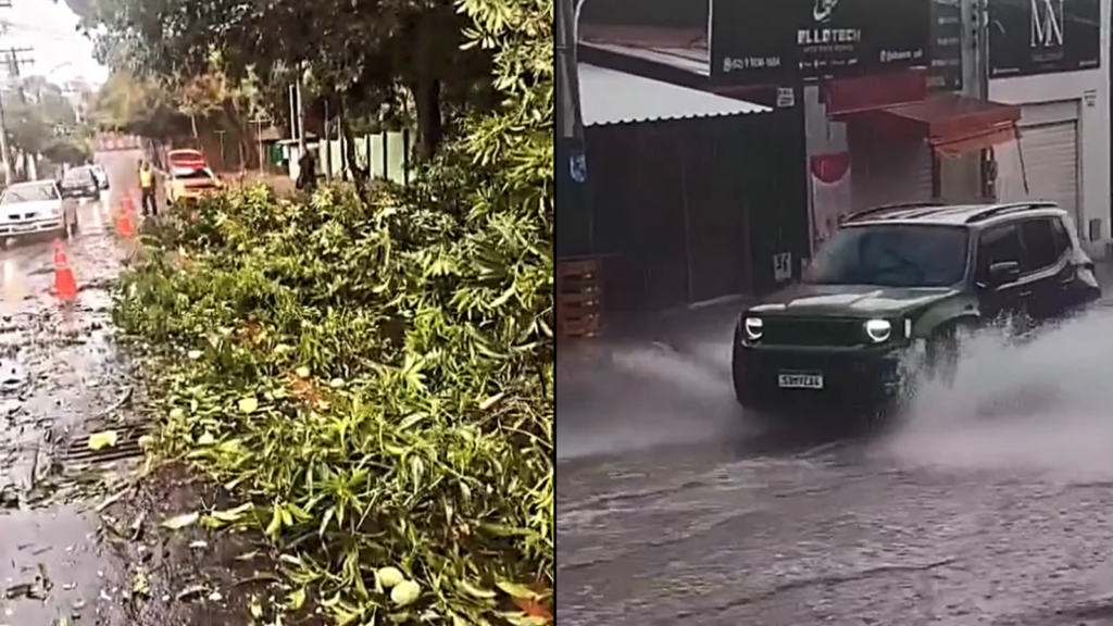 Chuva forte nesta quarta-feira (21) provoca enxurrada e queda de árvore em Goiânia