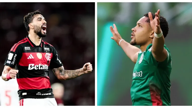 Flamengo vê vantagem cair e Palmeiras pode assumir liderança no domingo (11)