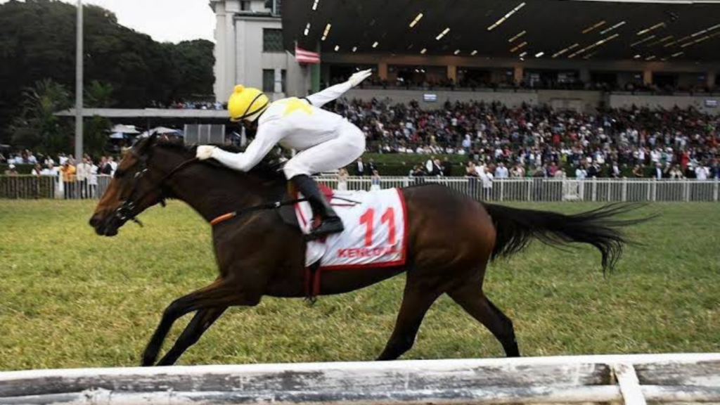 Jóquei Clube de Goiás promove corridas de cavalos com entrada gratuita em Goiânia