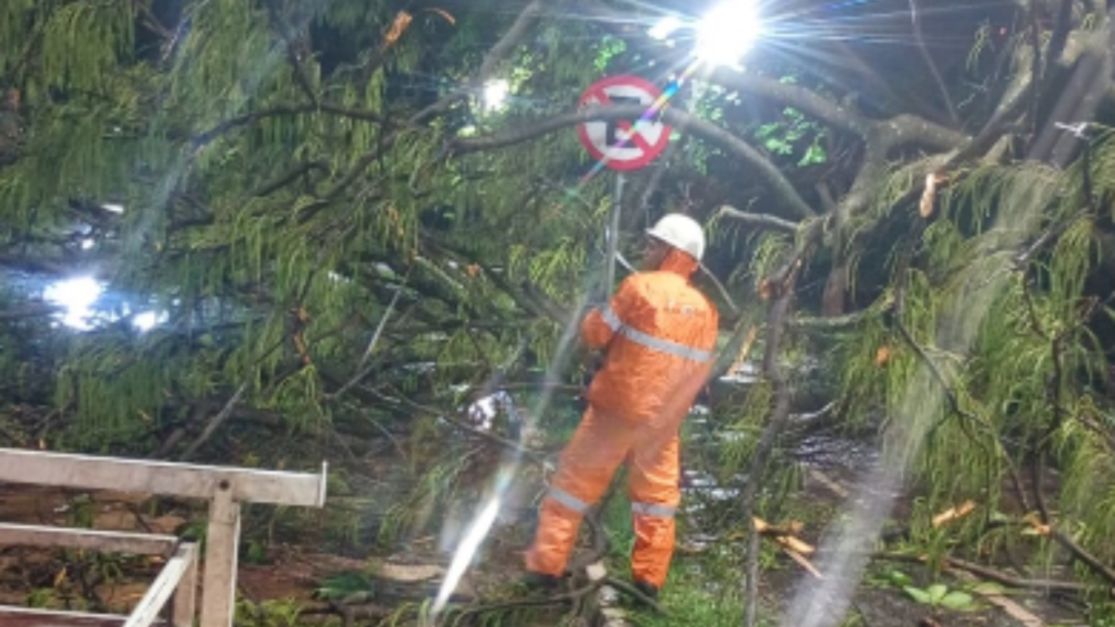 Chuva forte derruba árvores e causa alagamentos em Goiânia