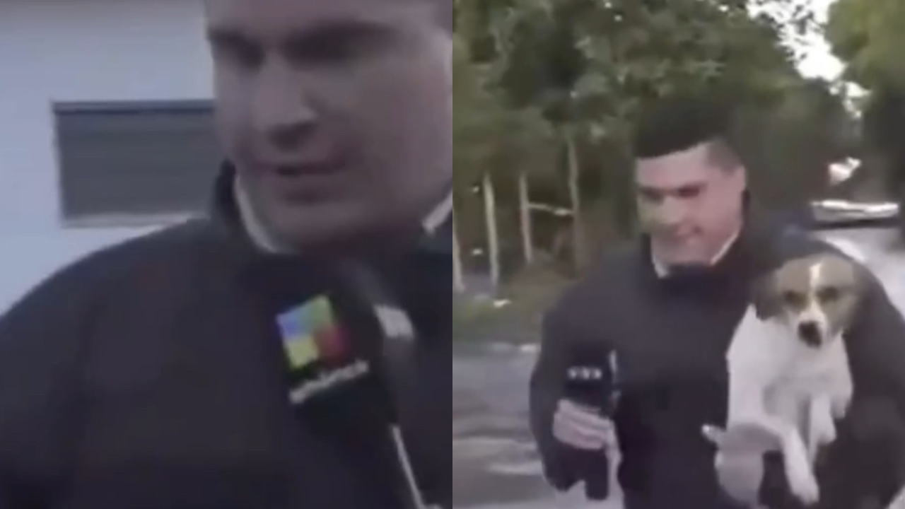 Repórter interrompe ao vivo e entra na enchente para salvar cachorro na Argentina; assista ao vídeo