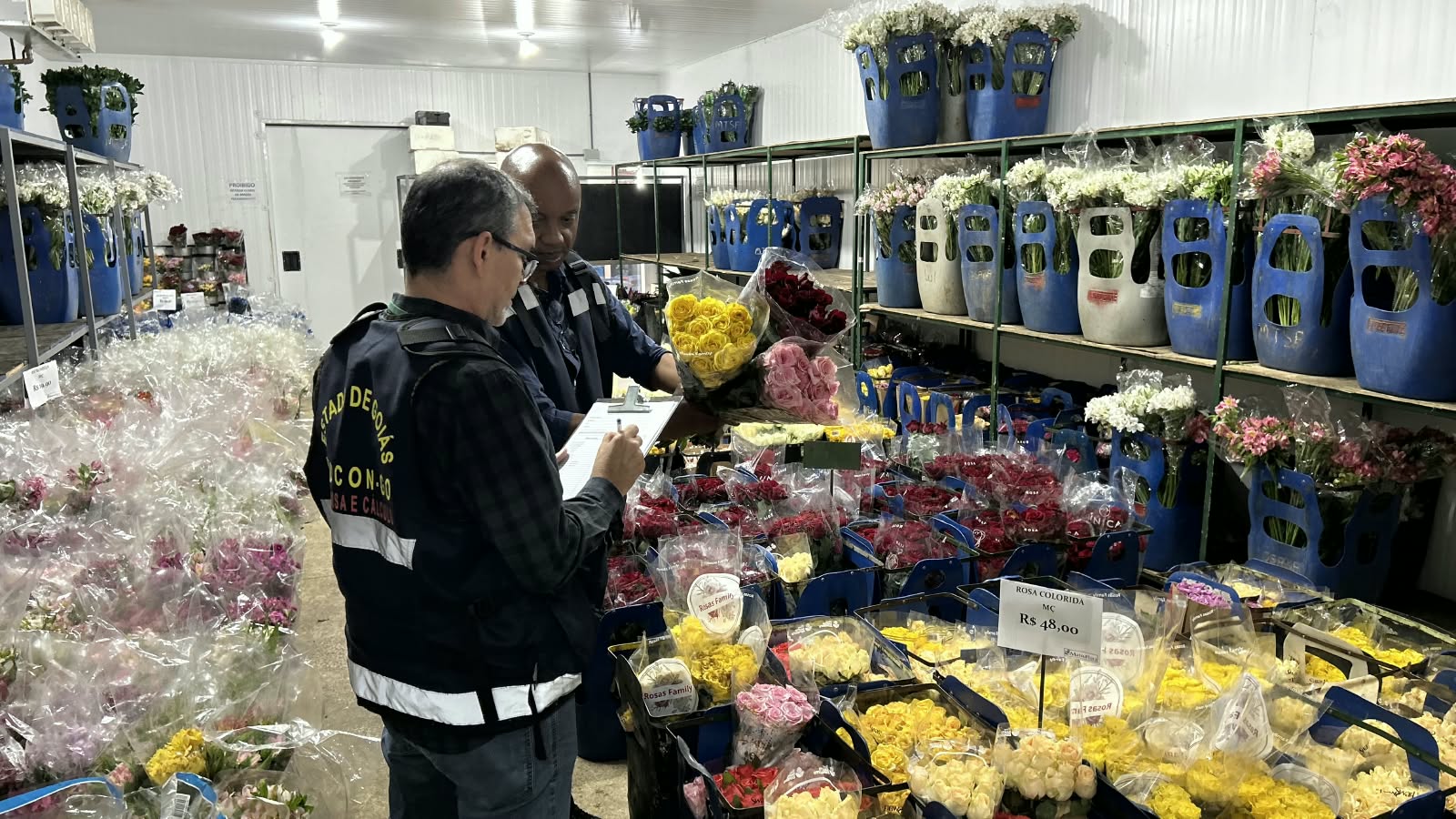 Finados: Procon Goiás encontra variação de 605% no preço das flores entre estabelecimentos