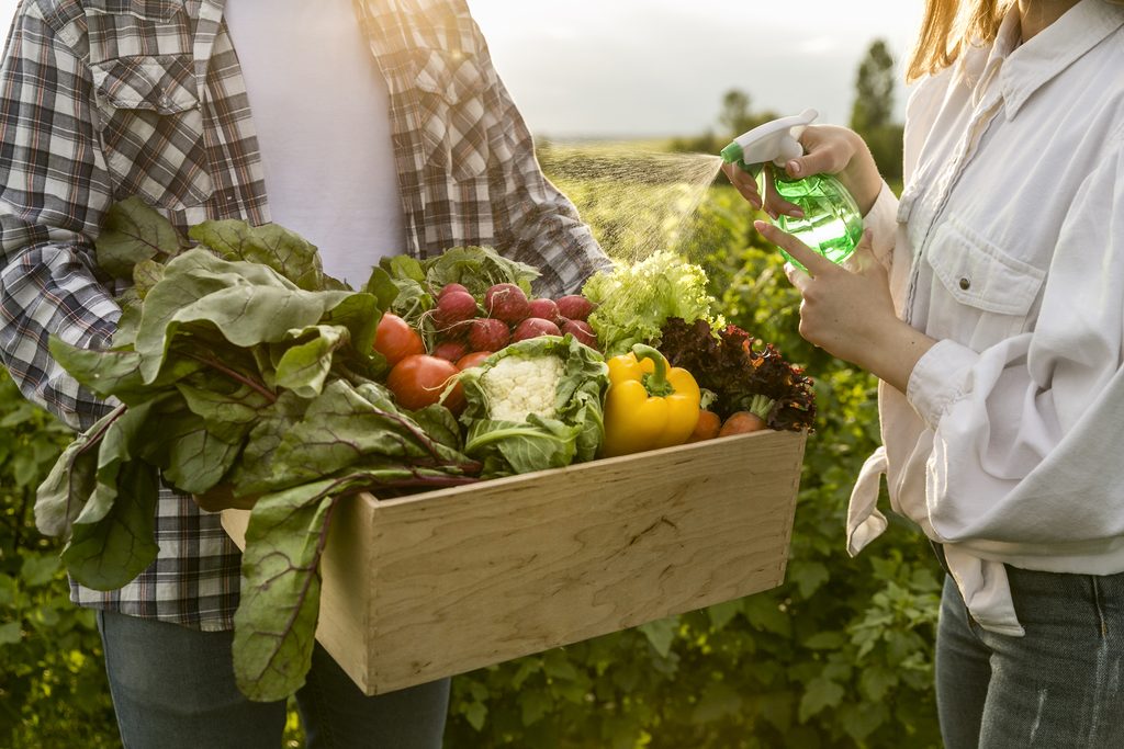 Do campo à cidade: por que o armazenamento de alimentos é essencial para o abastecimento