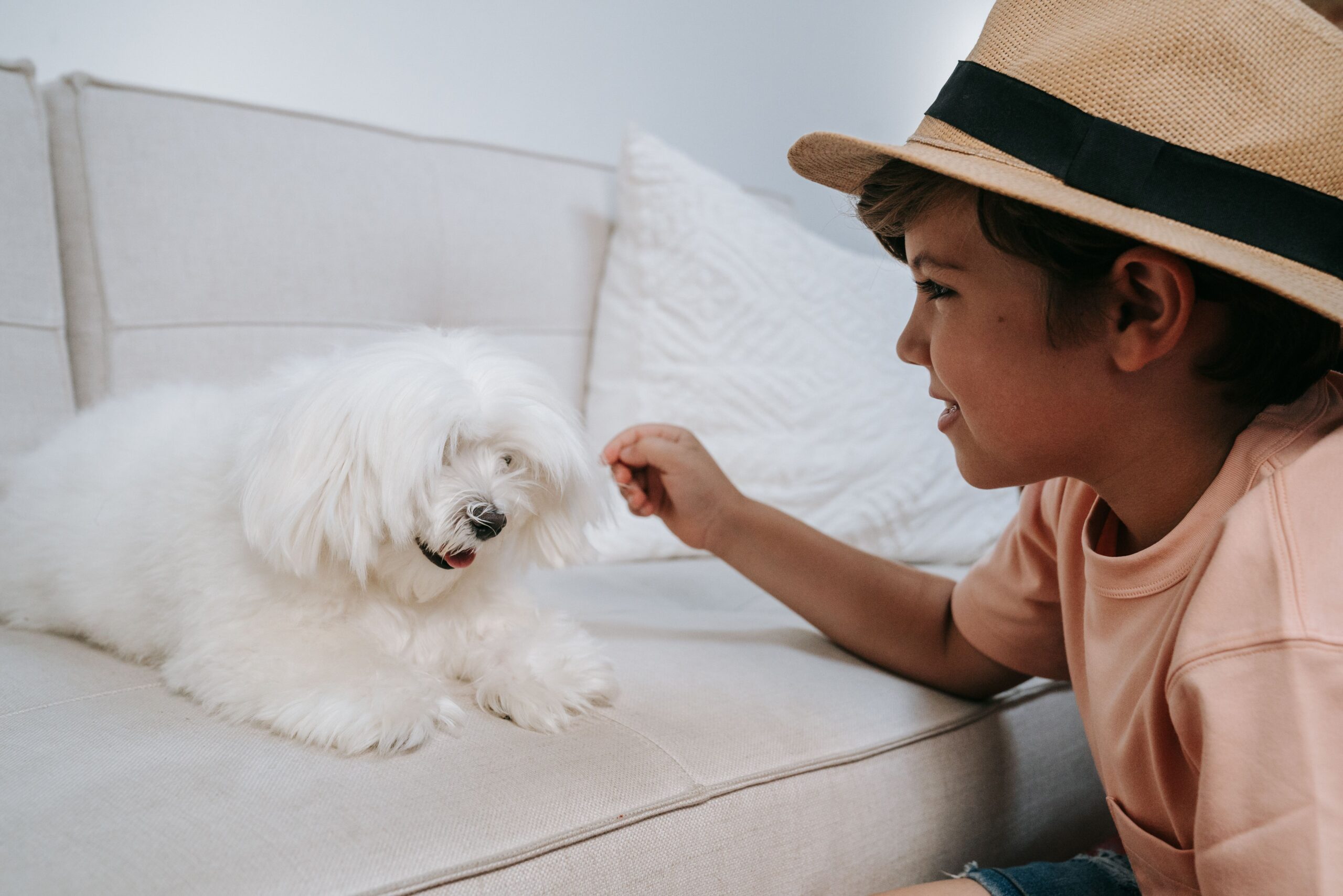 Como escolher o sofá ideal para quem tem pets e crianças?